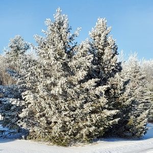 Meet your Posher, Jane